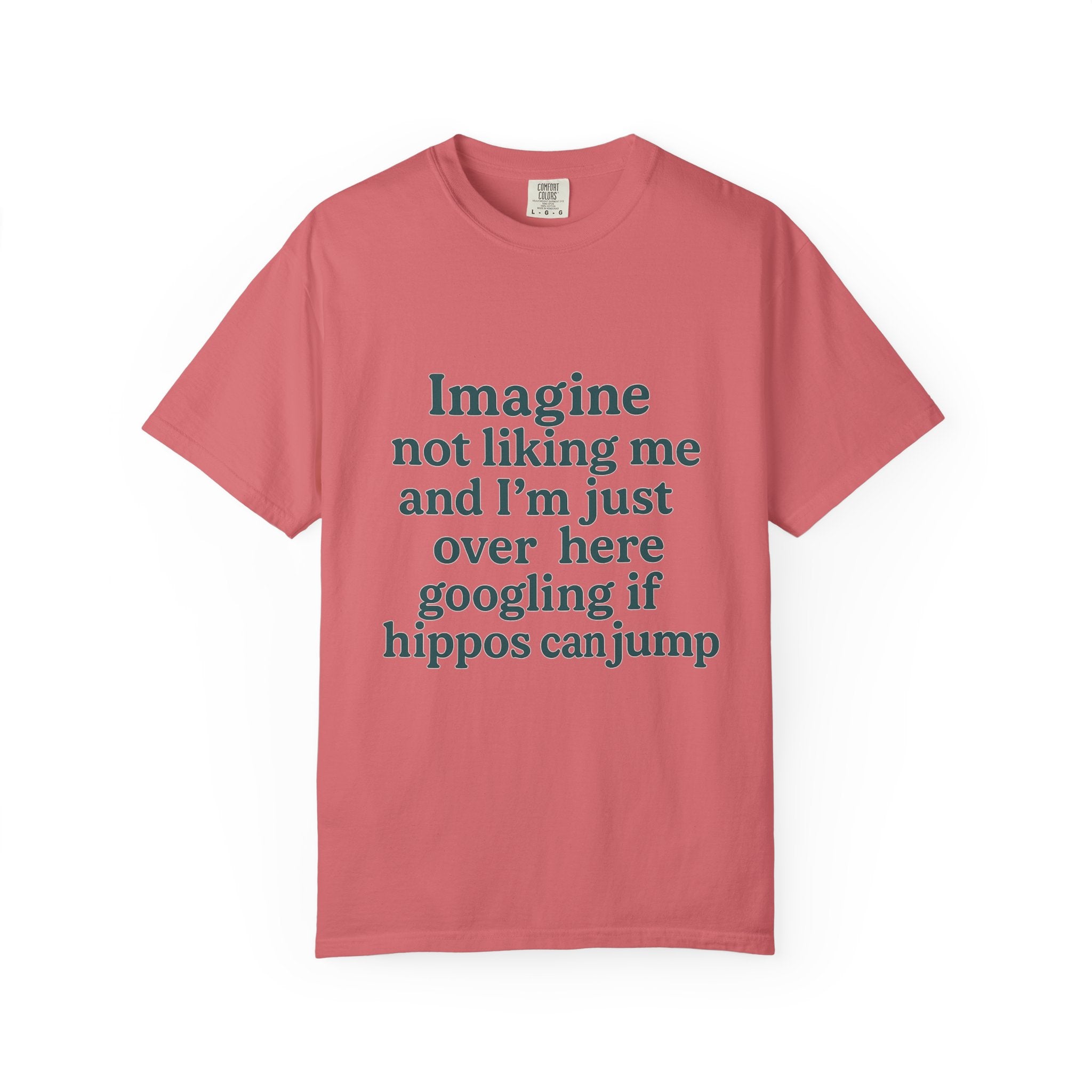 Humorous Unisex Garment-Dyed T-Shirt - 'Imagine Not Liking Me'