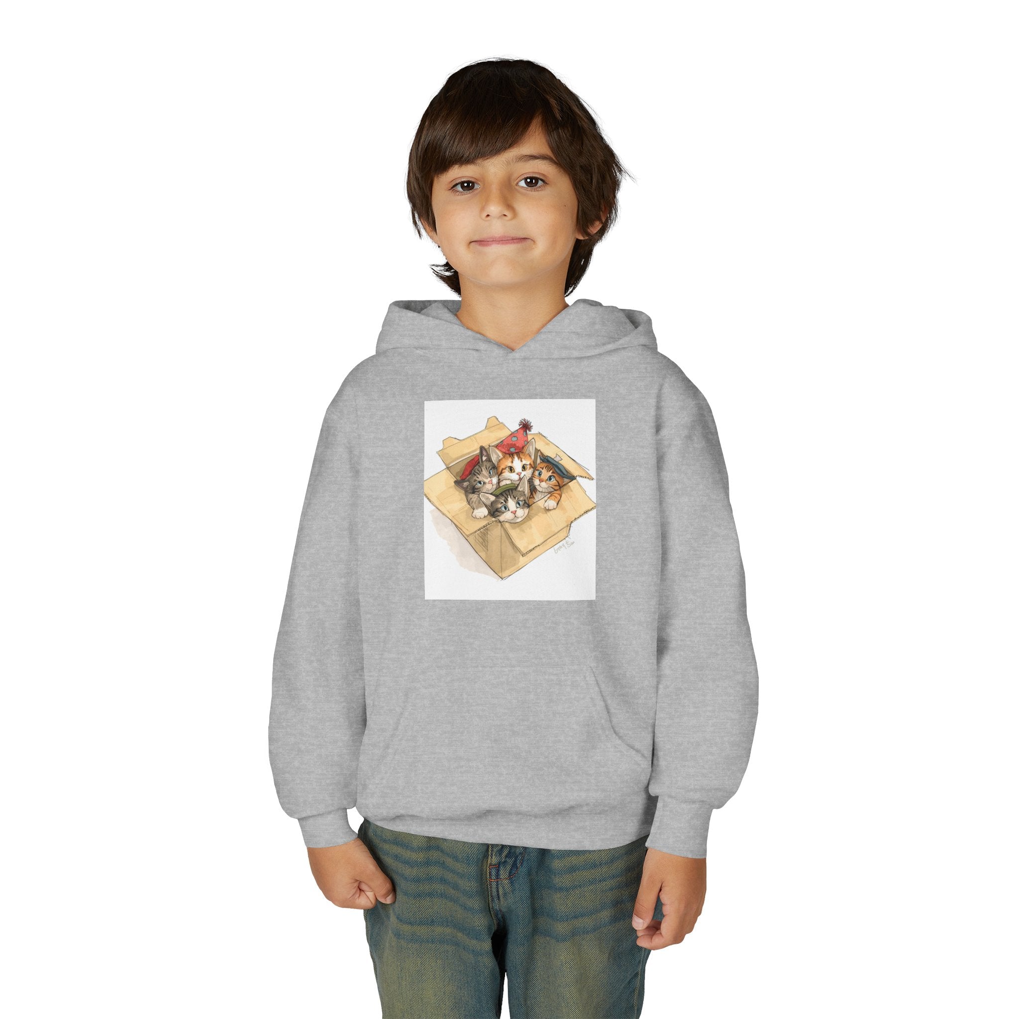 Cute Kittens In Box Youth Heavy Blend Hooded Sweatshirt