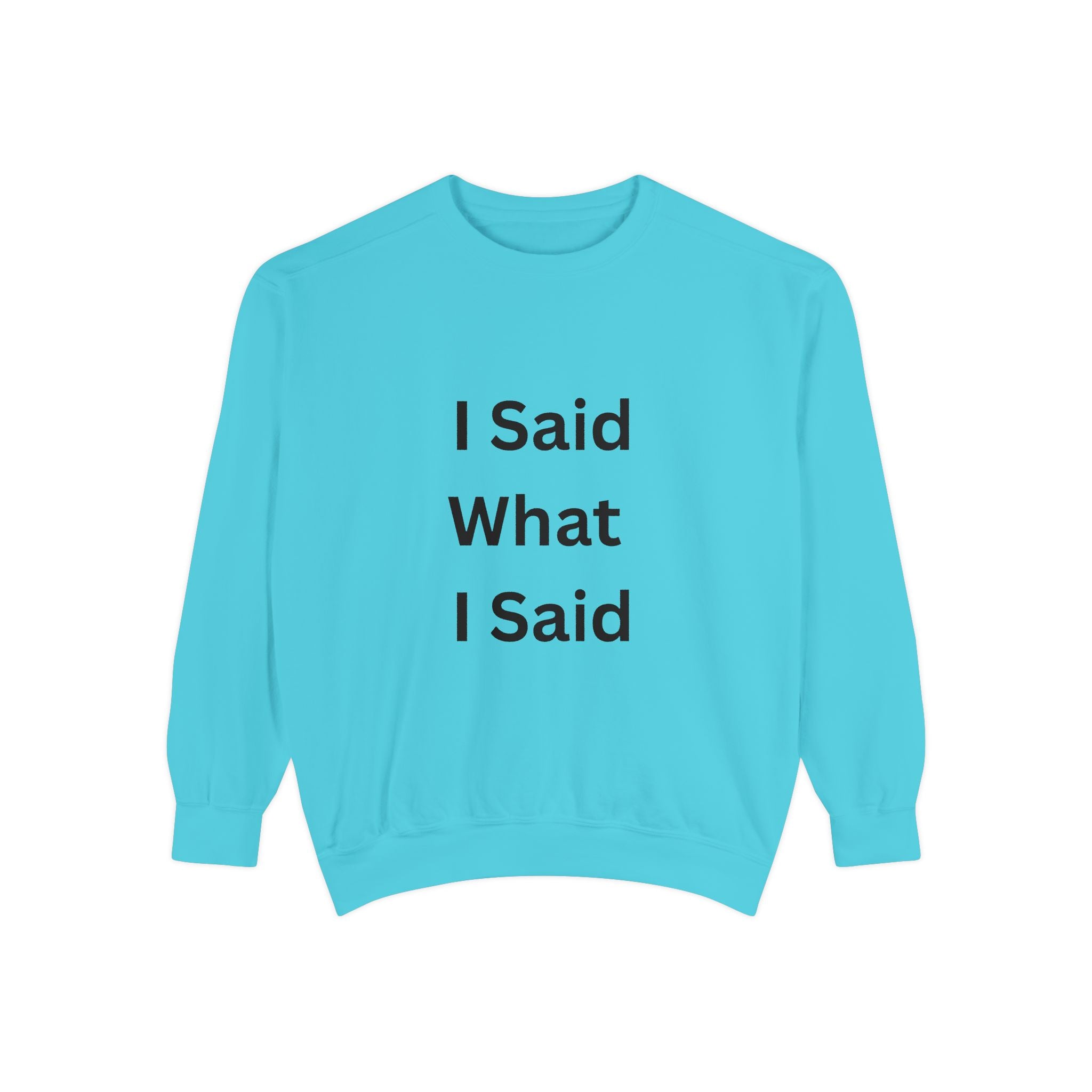 I Said What I Said Unisex Garment-Dyed Sweatshirt
