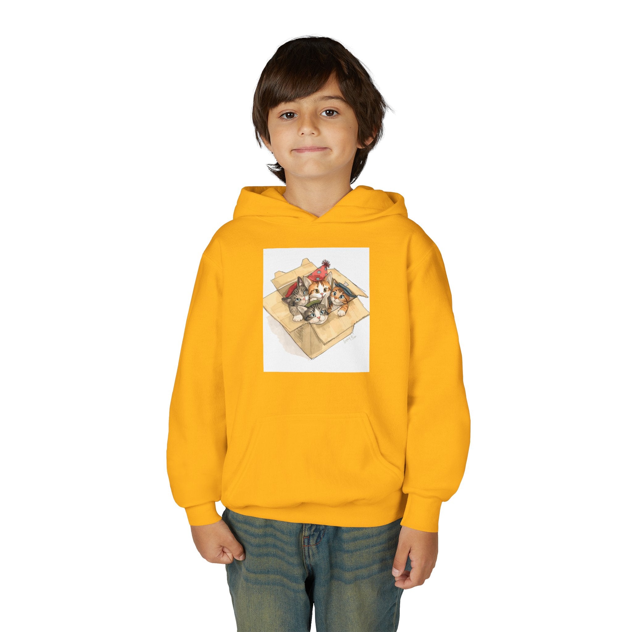 Cute Kittens In Box Youth Heavy Blend Hooded Sweatshirt