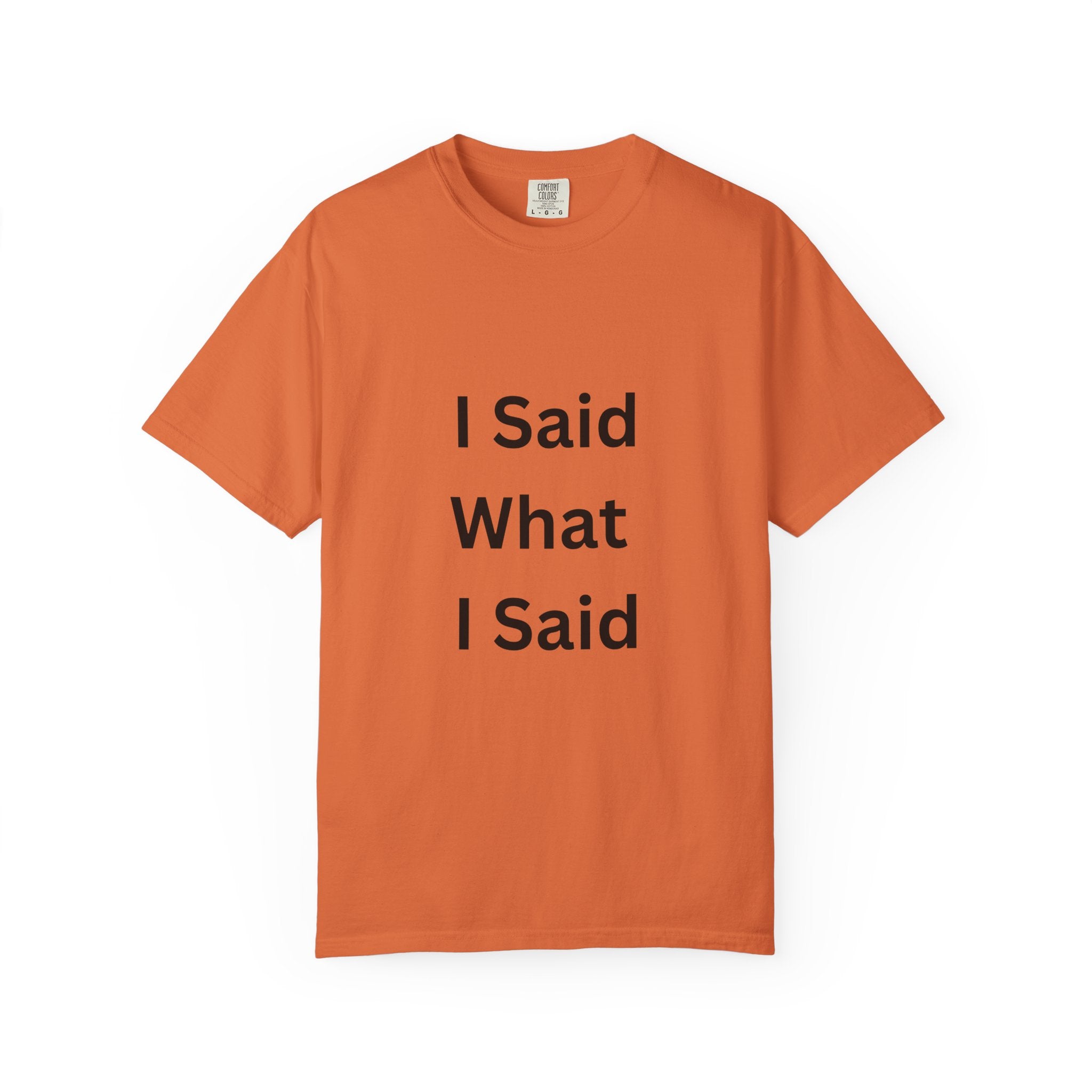Unisex Garment-Dyed T-Shirt with 'I Said What I Said' Print, Casual Tee, Gift for Friends, Pop Culture Apparel, Relaxed Fit