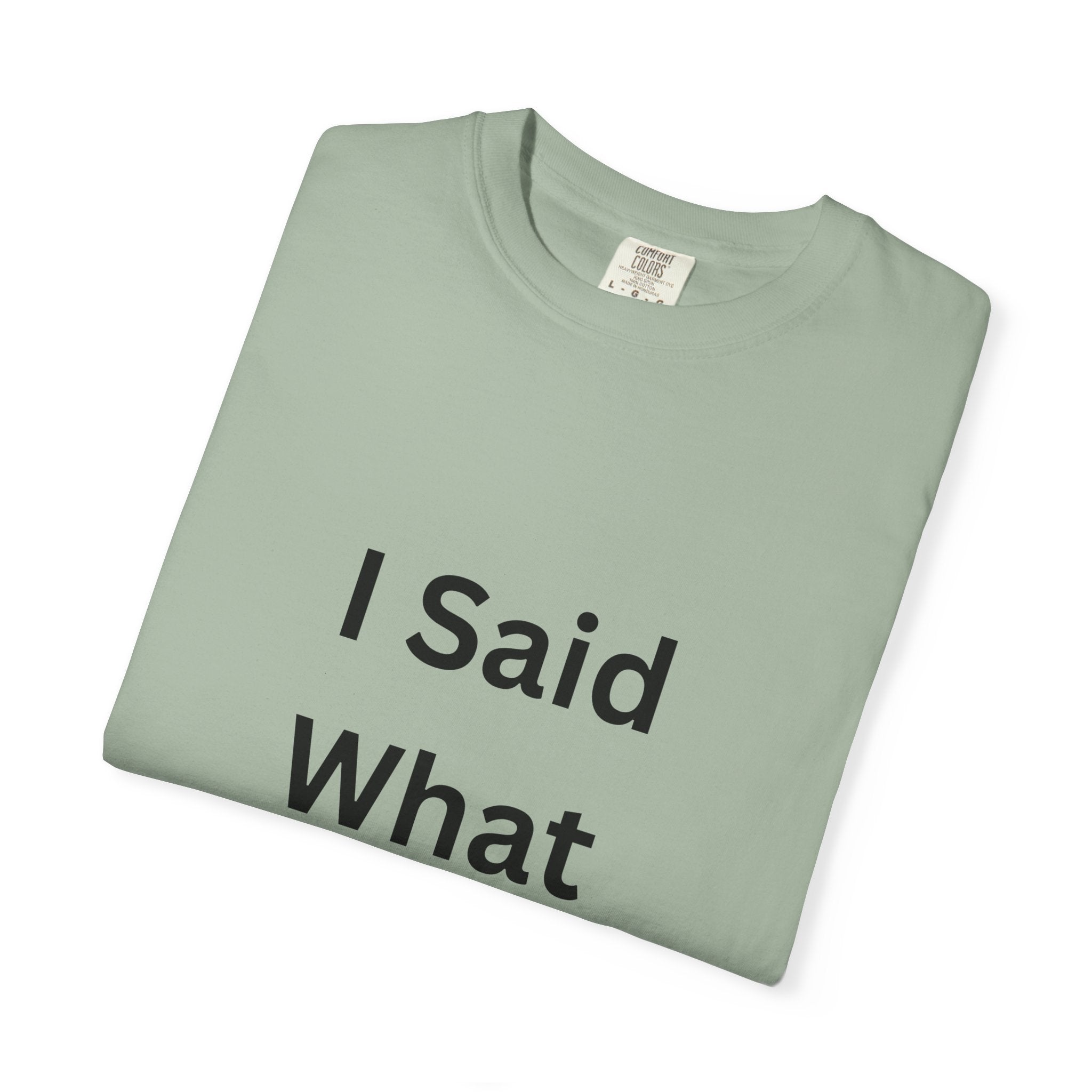 Unisex Garment-Dyed T-Shirt with 'I Said What I Said' Print, Casual Tee, Gift for Friends, Pop Culture Apparel, Relaxed Fit