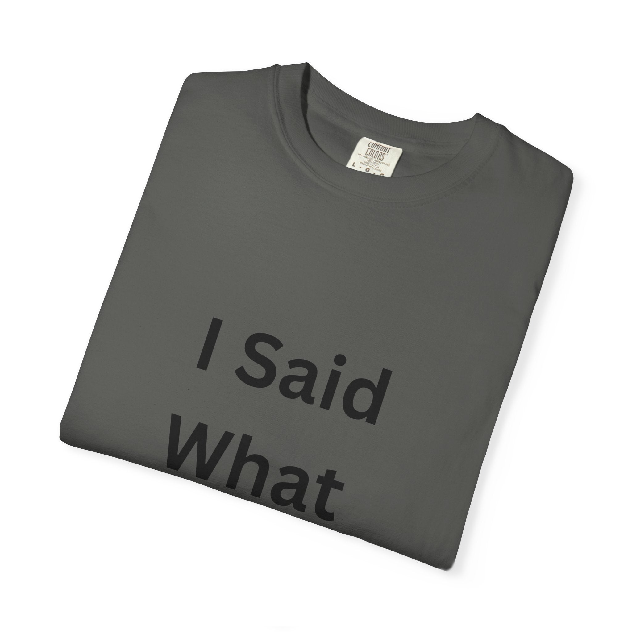 Unisex Garment-Dyed T-Shirt with 'I Said What I Said' Print, Casual Tee, Gift for Friends, Pop Culture Apparel, Relaxed Fit