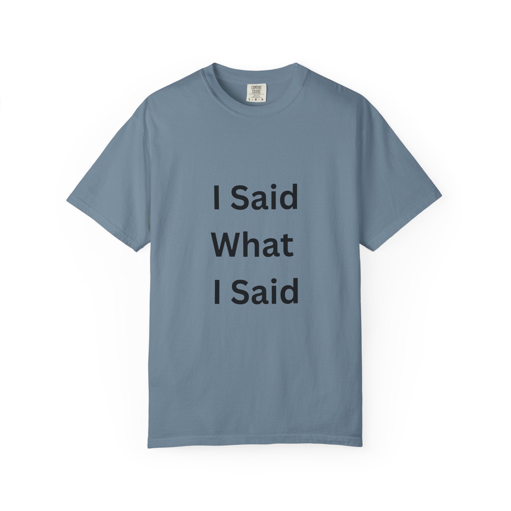 Unisex Garment-Dyed T-Shirt with 'I Said What I Said' Print, Casual Tee, Gift for Friends, Pop Culture Apparel, Relaxed Fit