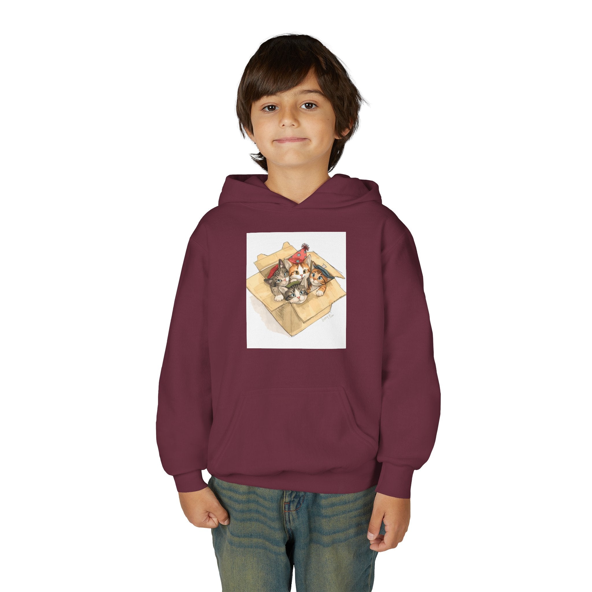 Cute Kittens In Box Youth Heavy Blend Hooded Sweatshirt