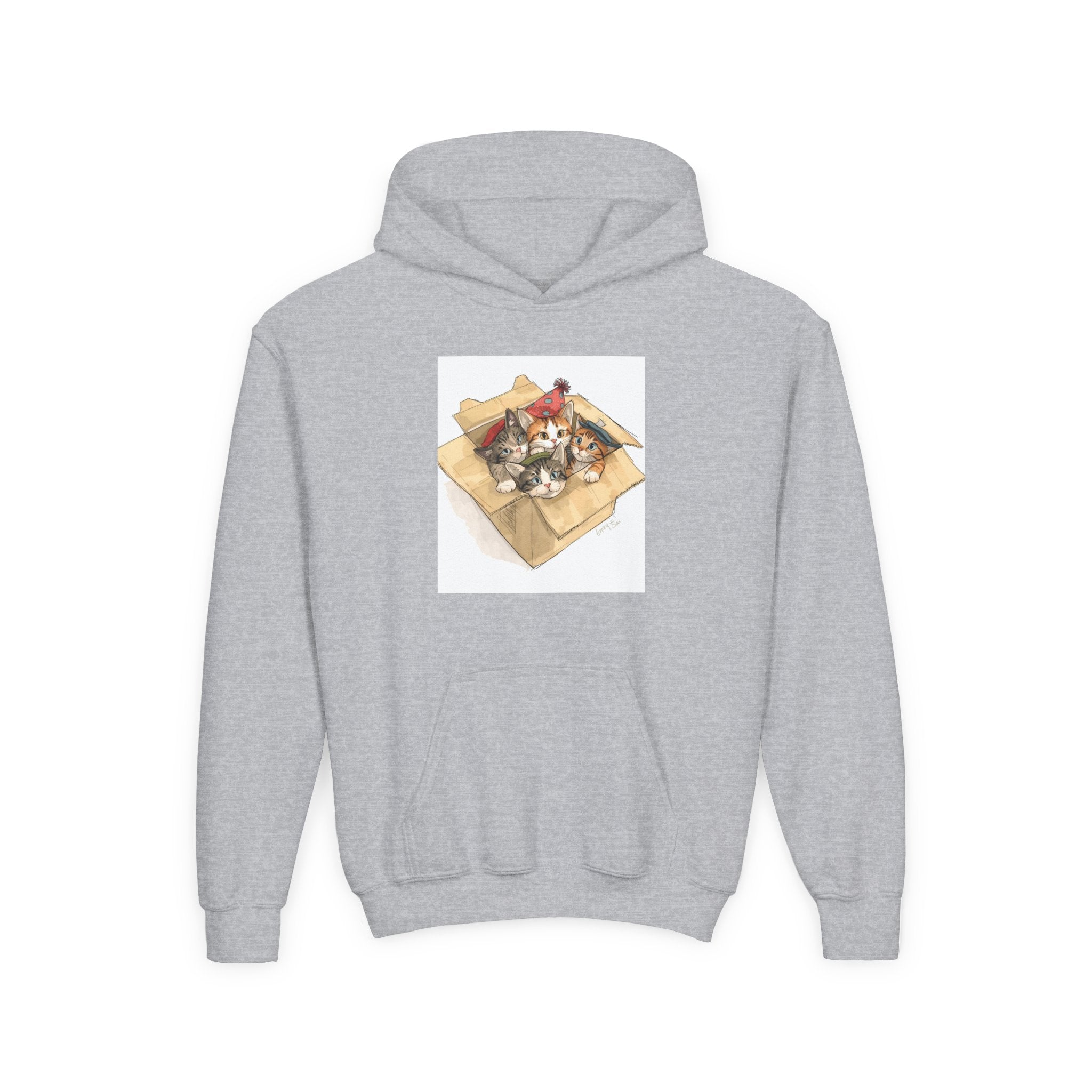 Cute Kittens In Box Youth Heavy Blend Hooded Sweatshirt