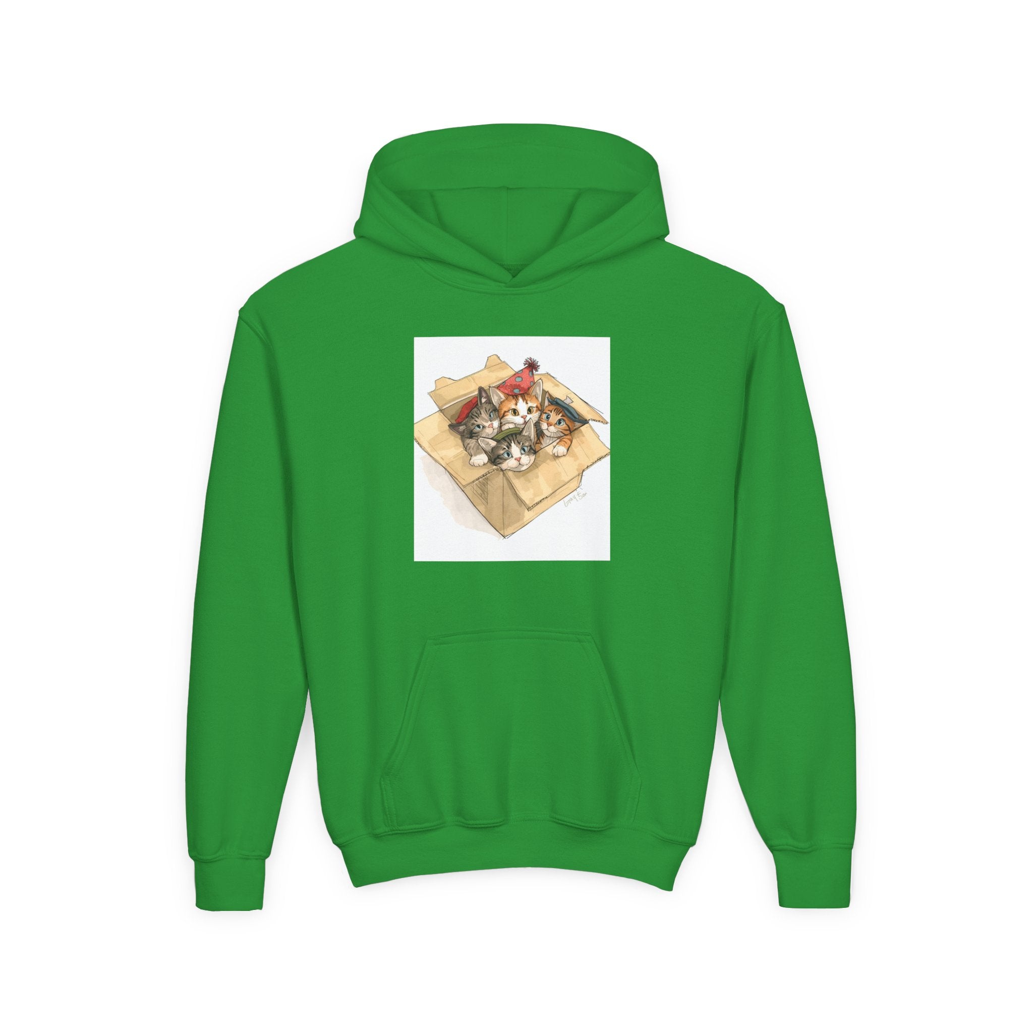 Cute Kittens In Box Youth Heavy Blend Hooded Sweatshirt